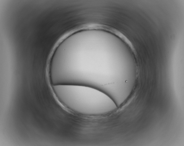 X0000114491429200910191107