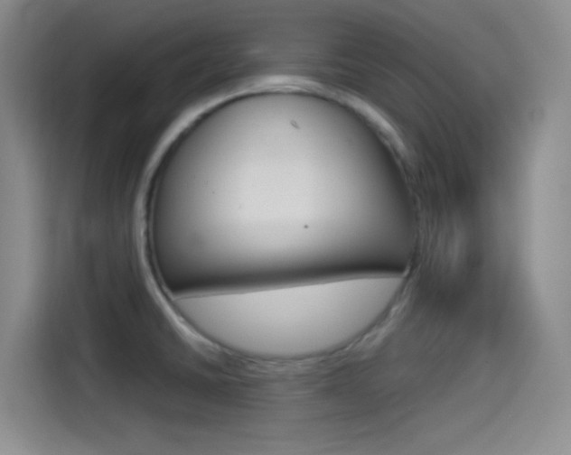X0000114491430200910191107