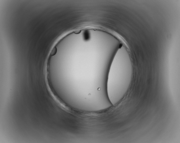 X0000114491431200910191107