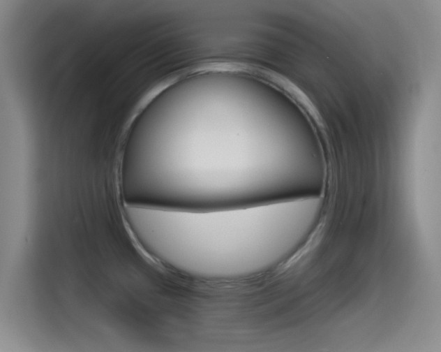X0000114491433200910191108