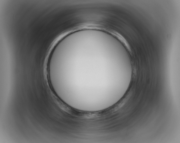 X0000114491435200910191108