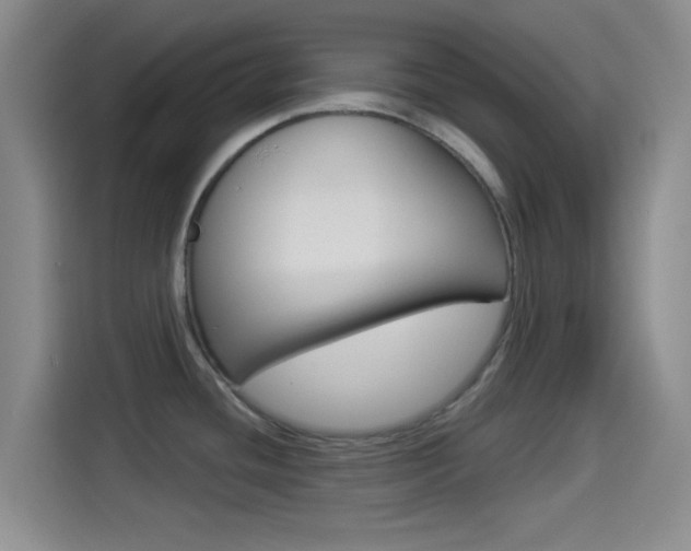 X0000114491436200910191108