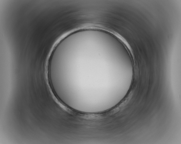 X0000114491437200910191108