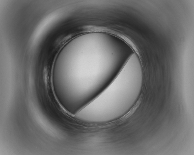 X0000114491438200910191108