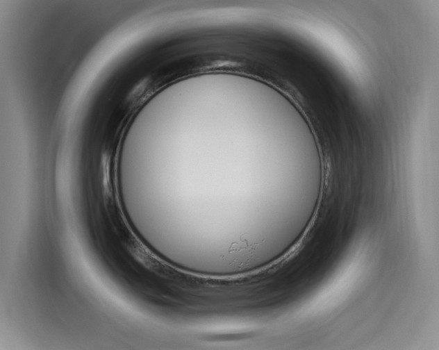 X0000114491439200910191108
