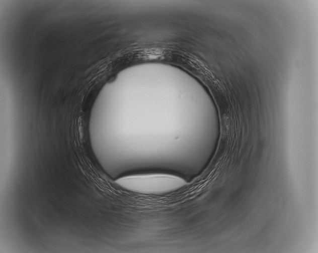 X0000114491442200910191107