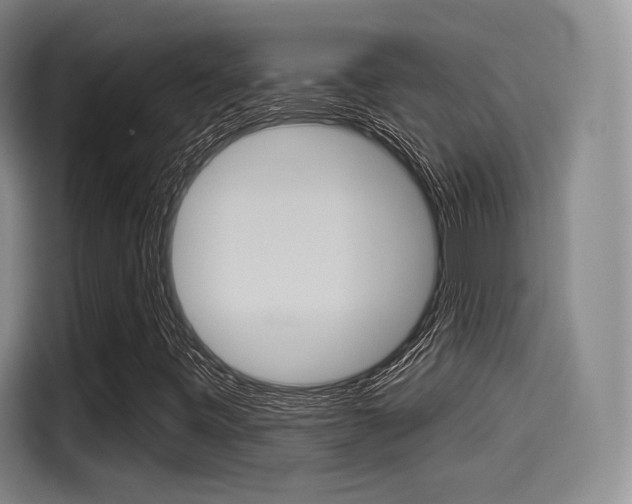 X0000114491443200910191107