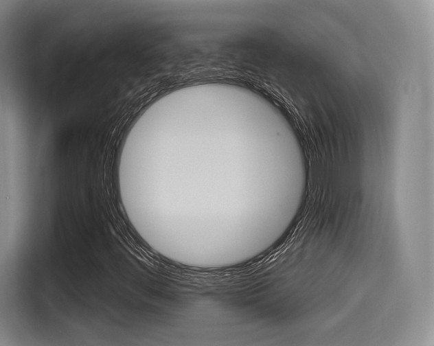 X0000114491444200910191107