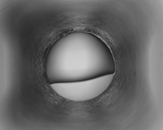 X0000114491445200910191107