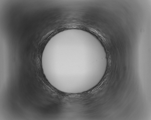 X0000114491446200910191107