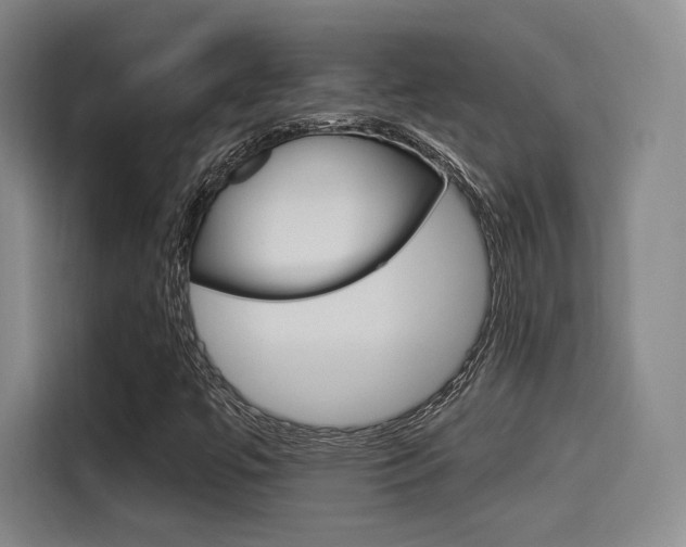 X0000114491447200910191107