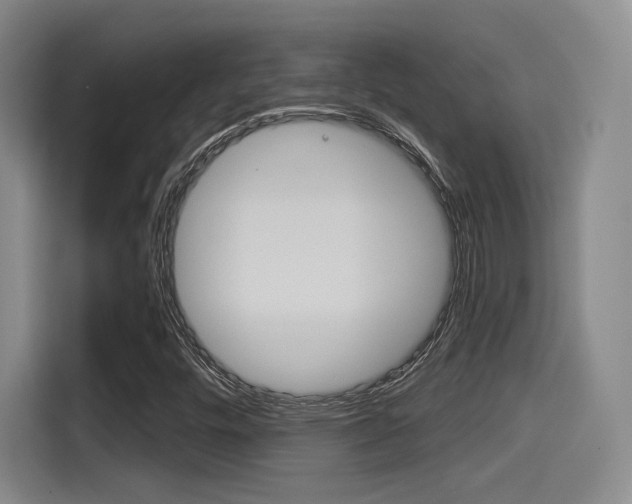 X0000114491448200910191107
