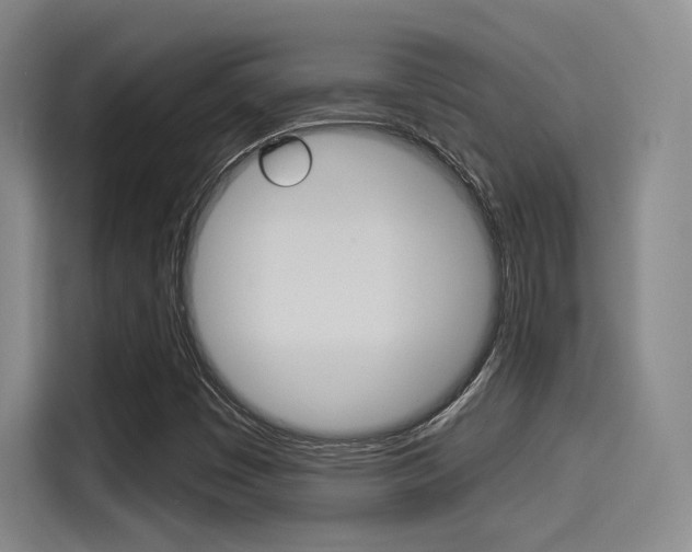 X0000114491449200910191107