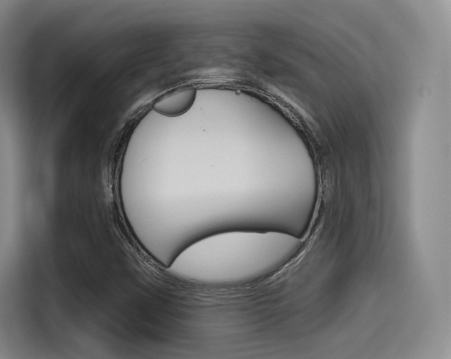X0000114491451200910191107