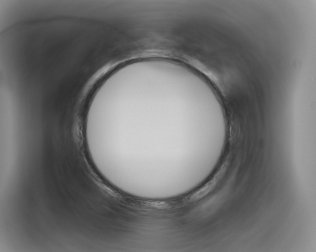 X0000114491454200910191107