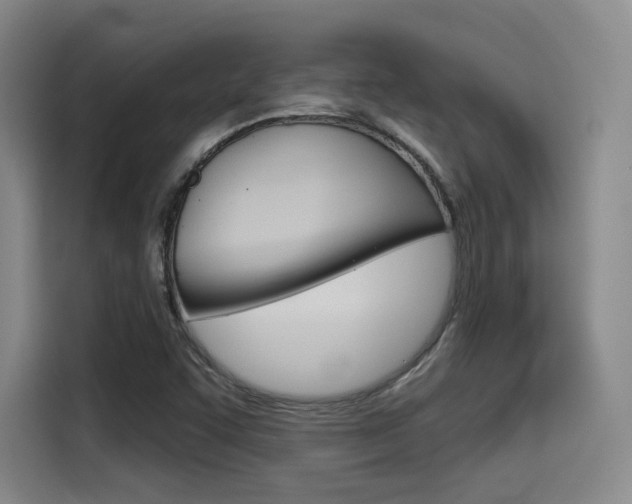 X0000114491455200910191107