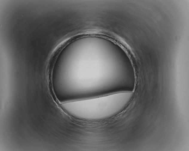 X0000114491456200910191107