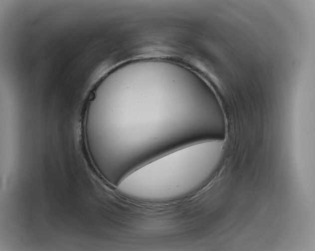 X0000114491459200910191107