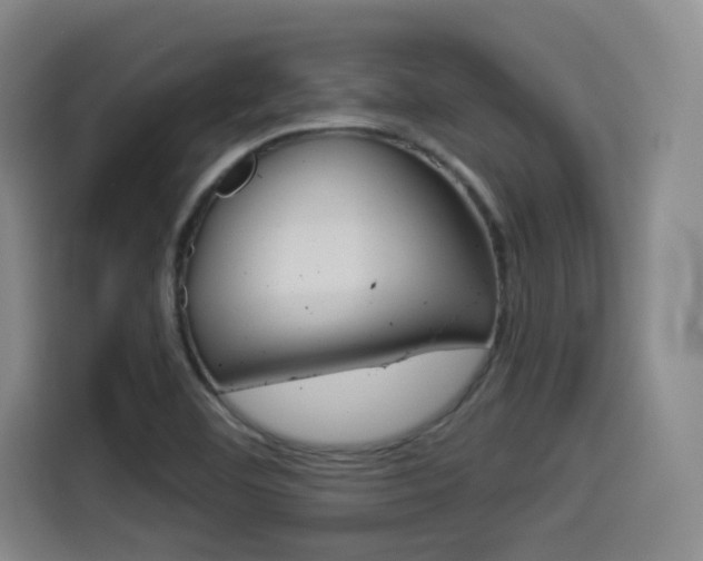 X0000114491460200910191107