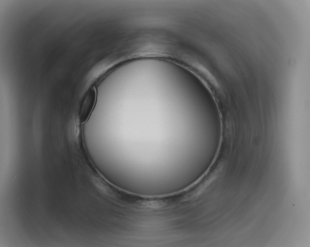 X0000114491461200910191107