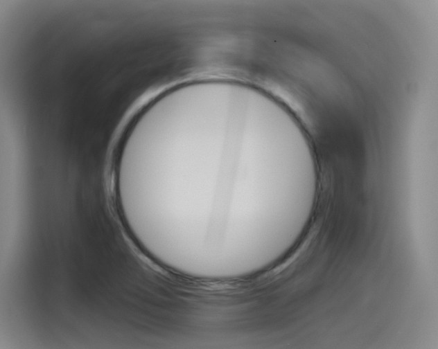 X0000114491462200910191107