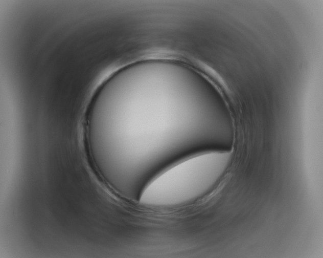X0000114491463200910191107