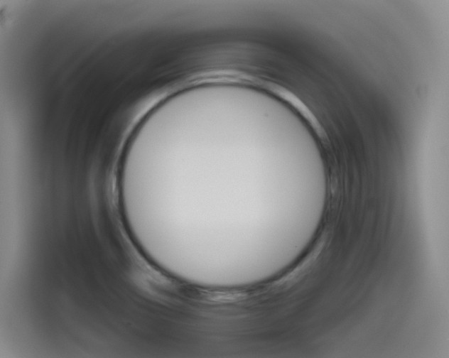 X0000114491466200910191107