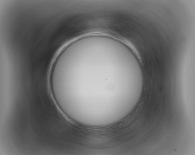X0000114491472200910191107