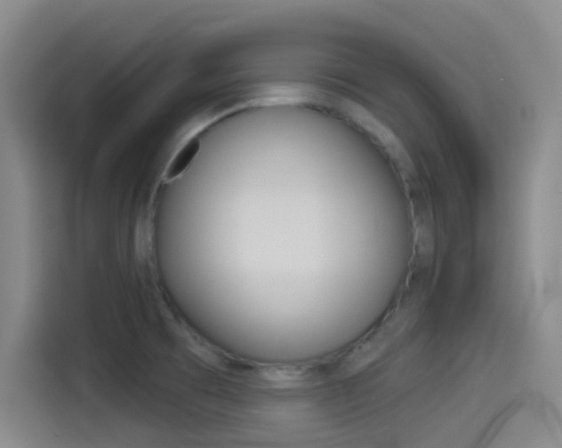 X0000114491473200910191107