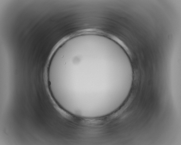 X0000114491474200910191107