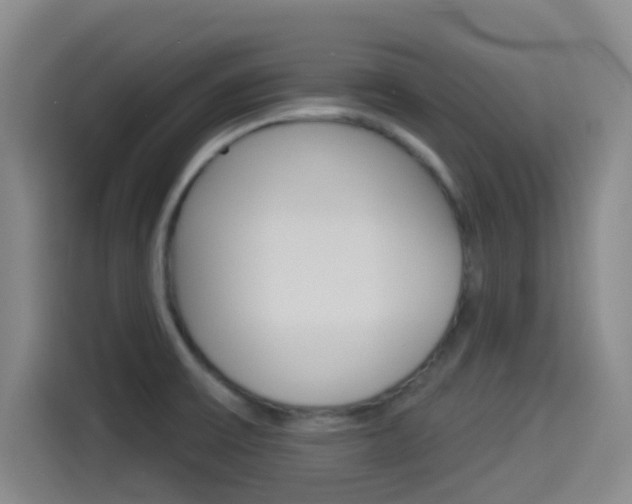 X0000114491475200910191107