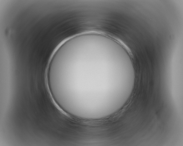 X0000114491476200910191107
