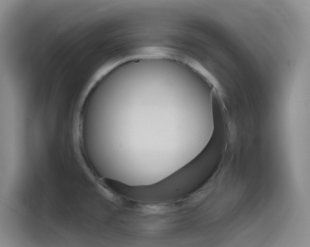 X0000114491477200910191107