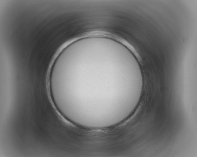 X0000114491478200910191107