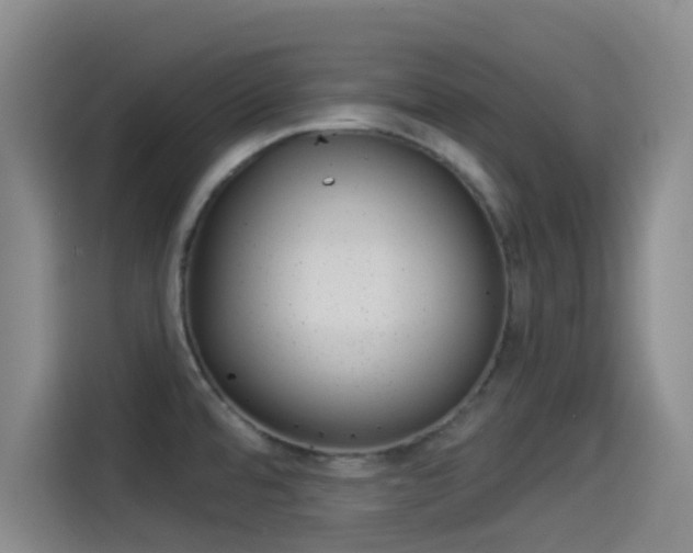 X0000114491480200910191106