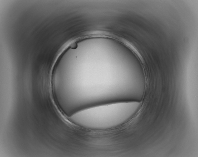 X0000114491482200910191106