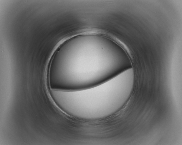 X0000114491483200910191106