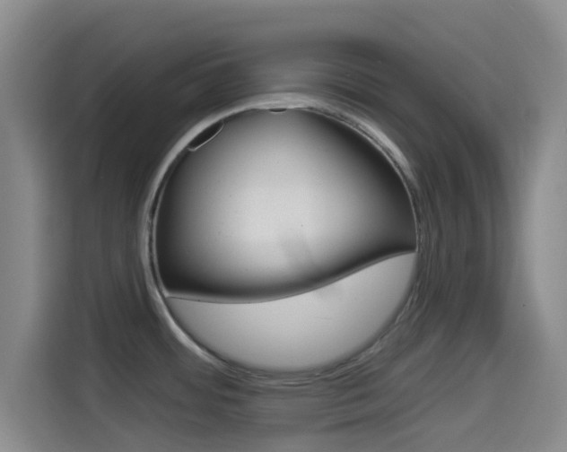 X0000114491484200910191106