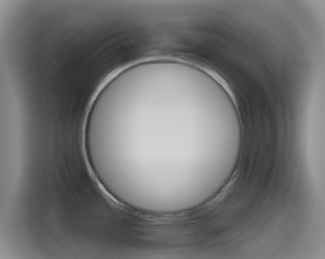 X0000114491485200910191106
