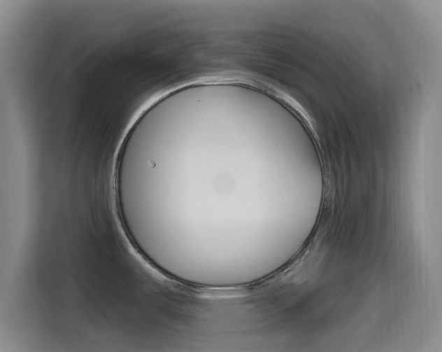 X0000114491487200910191106