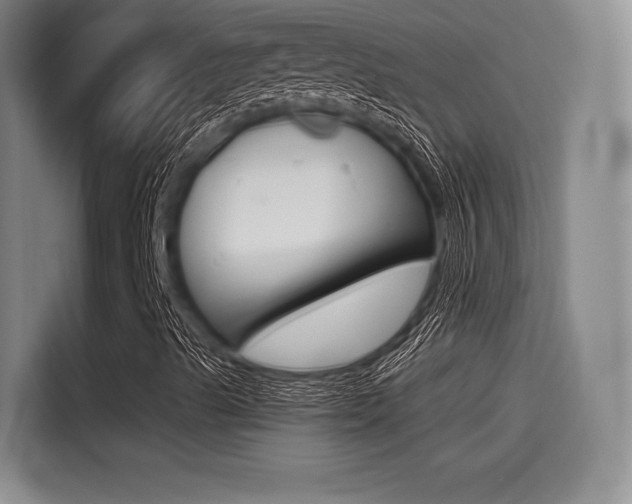 X0000114491489200910191106