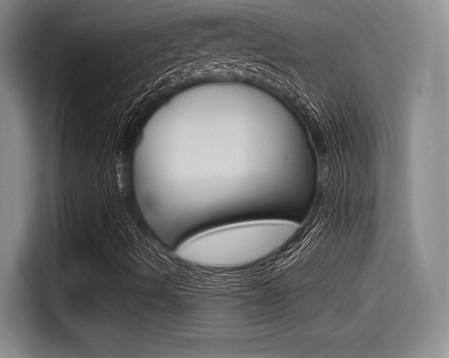 X0000114491490200910191106