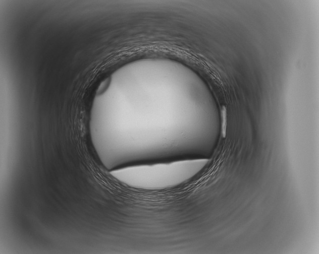 X0000114491491200910191106