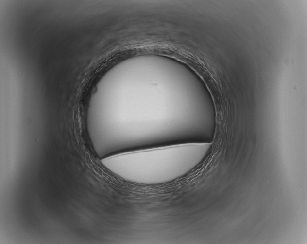 X0000114491493200910191106