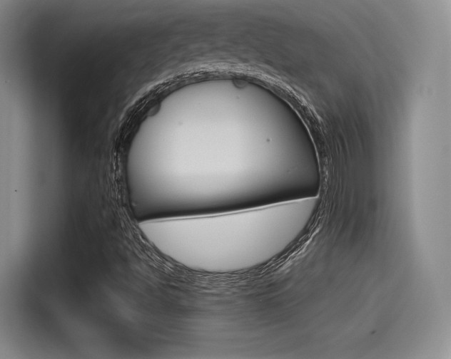 X0000114491494200910191106