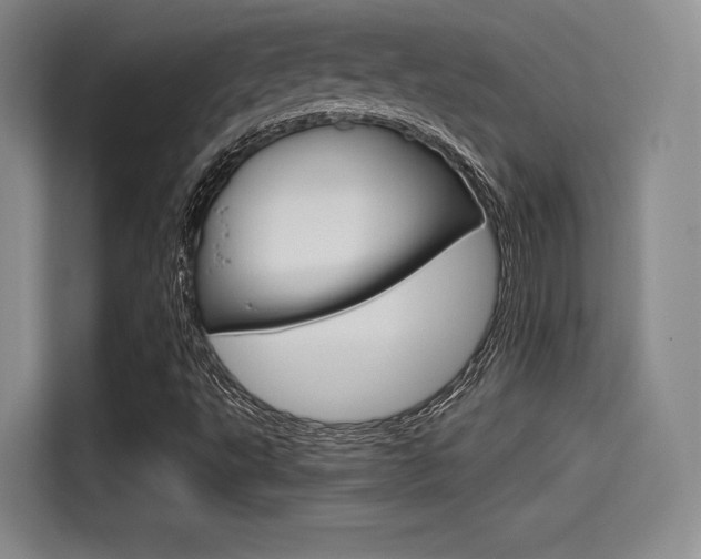 X0000114491495200910191106