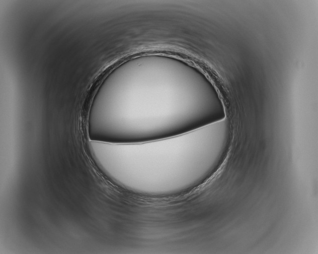 X0000114491497200910191106