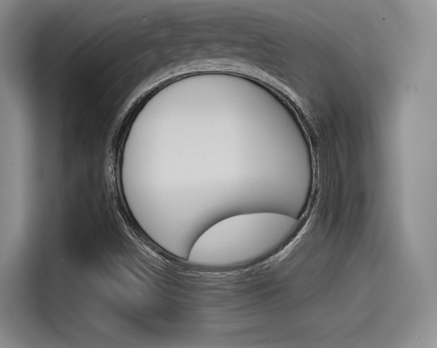 X0000114491498200910191106