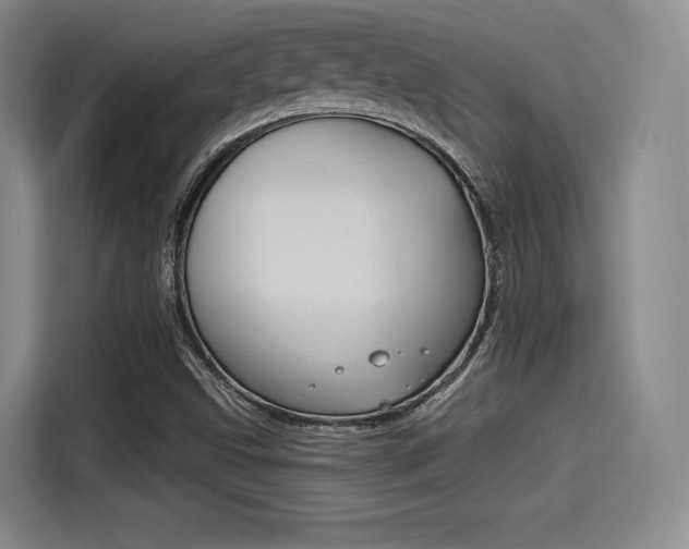 X0000114491499200910191106