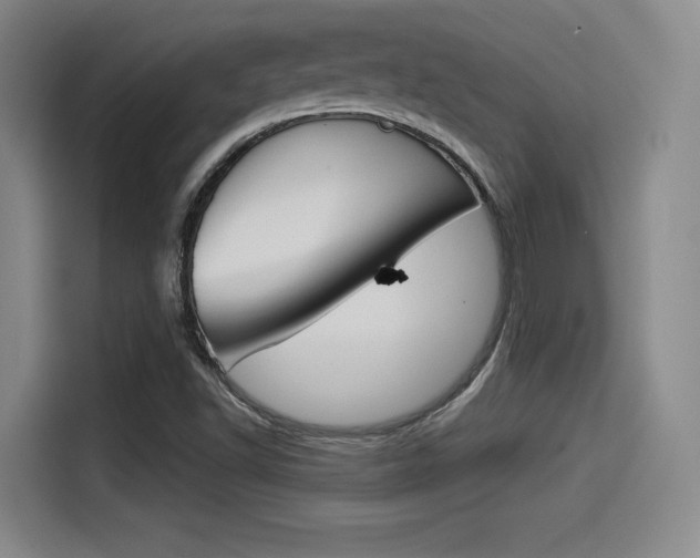 X0000114491502200910191106